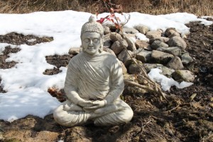 Budha är tillbaks på sin favoritplats också.