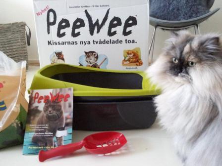 Lillkatten Dina poserar framför den nya kattlådan från PeeWee